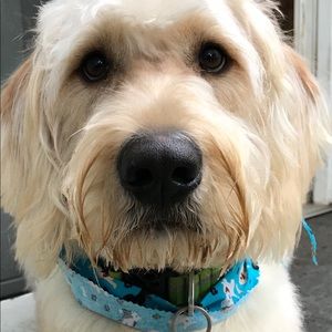 Meet your Posher, Kammie